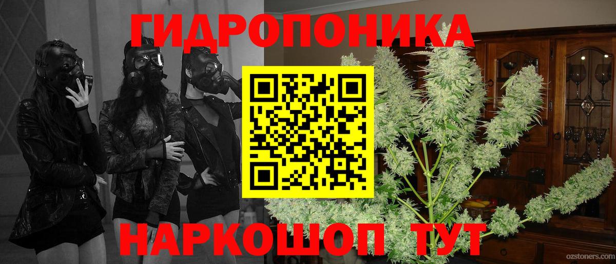 Шишки марихуана план Похвистнево